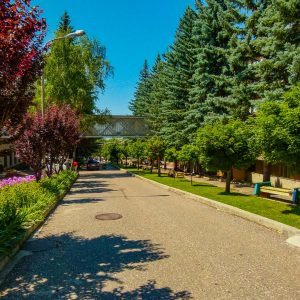 Территория в санатории Москва в городе Кисловодске - фотография