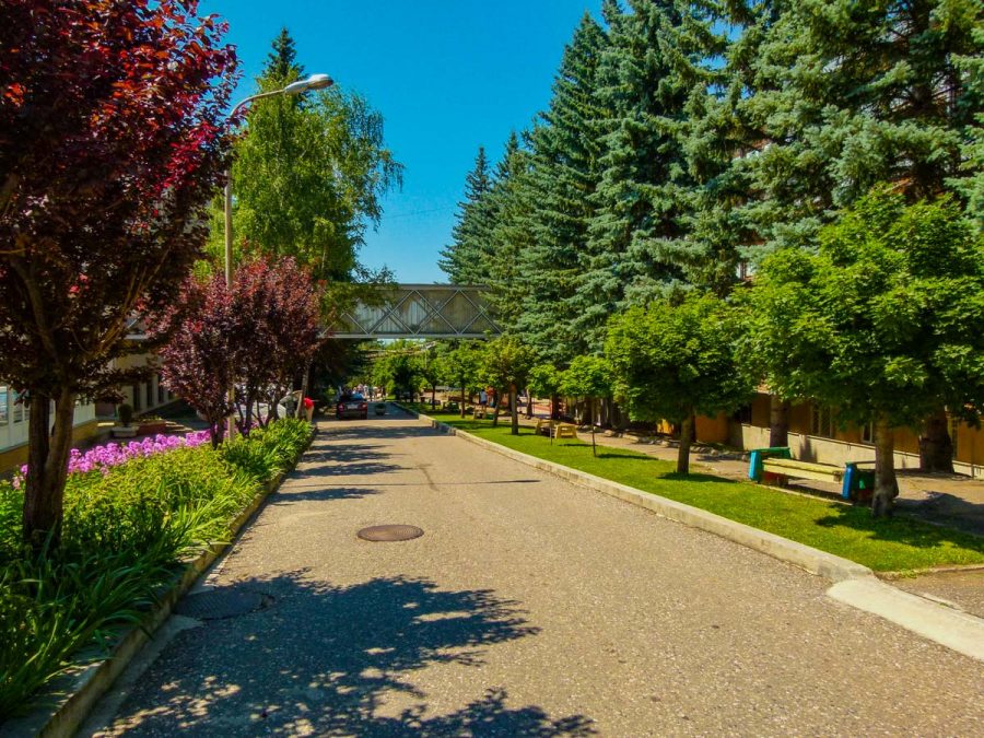 Территория в санатории Москва в городе Кисловодске - фотография