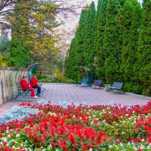 Территория в санатории Москва в городе Кисловодске - фотография
