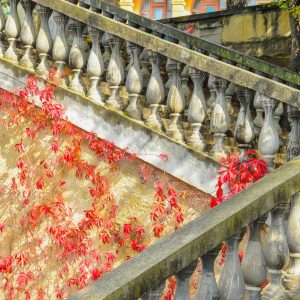 Ступеньки на территории в санатории Москва в городе Кисловодске - фотография