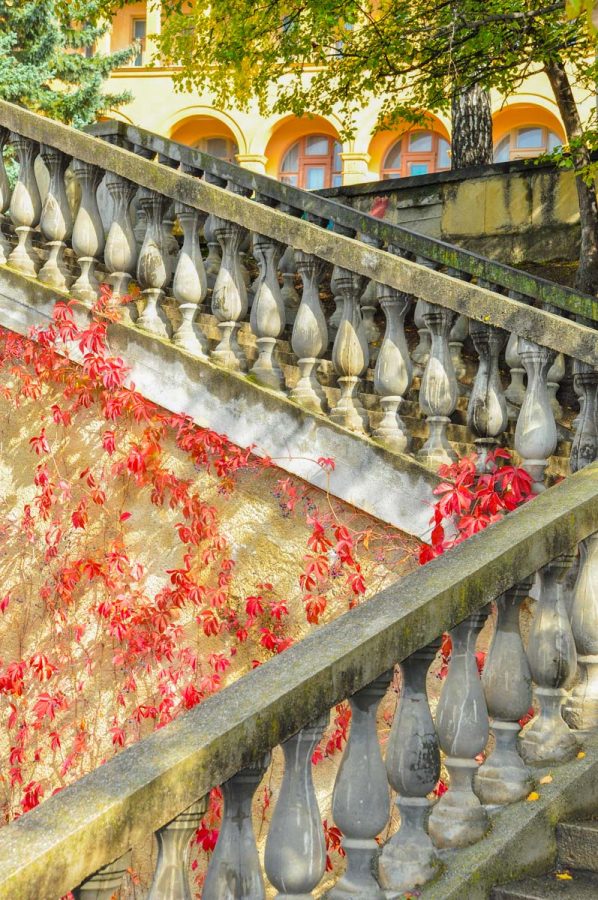 Ступеньки на территории в санатории Москва в городе Кисловодске - фотография