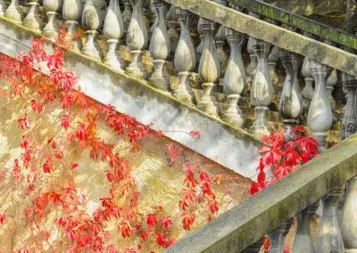 Ступеньки на территории в санатории Москва в городе Кисловодске - фотография